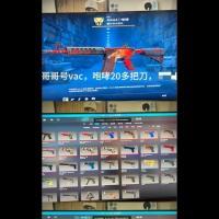 20多刀咆哮steam账号通用服务器