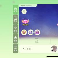 球球大作战尊2极品号