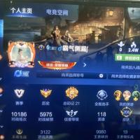弃坑V8账号出售 皮肤201个 限定36个